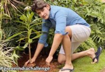 Superstar nominated Jr NTR and Vijay