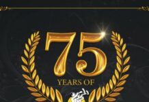 Prestigious Gemini Group To Enter Music Industry