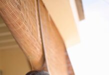 Aishwarya Arjun Flaunts in Blue Saree