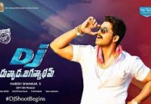 దువ్వాడ జగన్నాథం లో పవన్ ఫాన్స్ కి బన్నీ పంచ్ వెయ్య బోతున్నడా ?