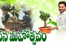 మొదటి మొక్క నాటిన వై.ఎస్ జగన్..