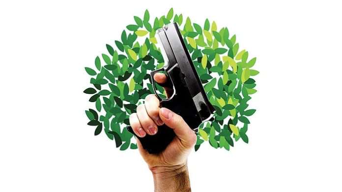 109bd7d6e5c7c6293aaadd05cf5df6c6