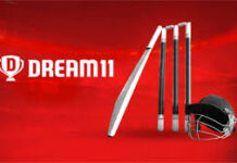 ఐపిఎల్ స్పాన్సర్షిప్గా డ్రీమ్ 11 కొనసాగుతుందా…