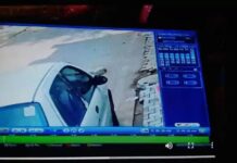 కుక్క కోసం మేనకా గాంధీ.. విషయం సీఎం దృష్టికి