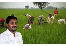 రైతుల విషయంలో వై.ఎస్ జగన్ ఎందుకీ నిర్ణయం తీసుకున్నారు..