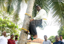 ప్రెస్మీట్ కోసం కొబ్బరి చెట్టు ఎక్కిన మంత్రి..