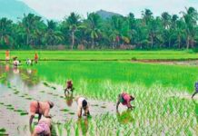 చరిత్రలో ఎవ్వరూ చేయని విధంగా ఉచిత విద్యుత్పై నిర్ణయం తీసుకున్న వై.ఎస్ జగన్..