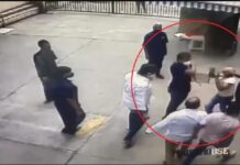 ముఖ్యమంత్రి కార్టూన్ షేర్ చేసినందుకు చితక్కొట్టారు