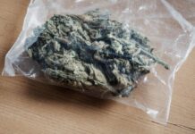 159 కేజీల గంజాయిని అమ్ముకున్న పోలీసుల స్టోరీలో ఏం జరిగిందంటే..