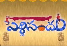 కొత్త పెళ్లి సందడిలో హీరో అతడేనా..?