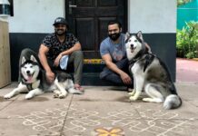 ఈ ఇద్దరు యంగ్ హీరోలు మల్టీ స్టారర్కు సై అంటారా..?