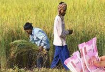 రైతుల అకౌంట్లలో డబ్బులు వేసిన కేంద్ర ప్రభుత్వం.. ఎందుకో తెలుసా..